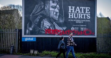 The public were urged to start complaining and more than 1,000 allegations of hate crime have been lodged per day since the act came into force.