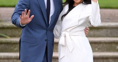 Does the world need another lesson in how to make a delicious dip using organic free range produce, asks JANET STREET-PORTER? As the Duchess of Sussex launches herself as the USA's answer to Nigella, will viewers be rushing to whisk up her eco-friendly snacks?