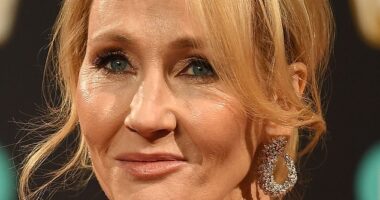 JK Rowling ¿s tweets calling trans women men are not being treated as criminal by Scottish police