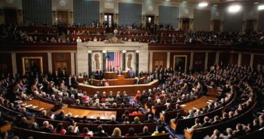 JUST IN: House Of Representatives Reauthorize FISA Warrantless Spying On Americans