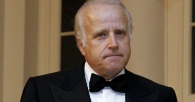 James Biden Listed His Credentials as 'Joe's Brother' in Pitch to Qataris