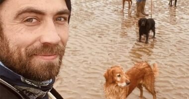 The Princess of Wales' brother, James Middleton (pictured) with his wife Alizee, their son Inigo, and four of their dogs