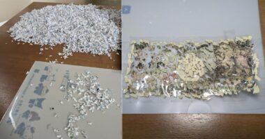 Japanese teen pieces together shredded ¥10,000 (S$87) note for bank exchange - Mothership.SG