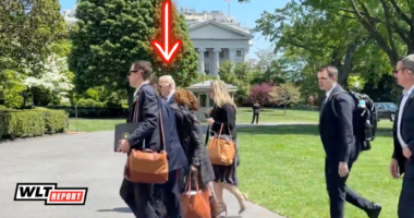 Joe Biden Now Using a “Team of Walkers”