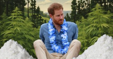 Judge Reviewing Prince Harry’s Immigration Papers.