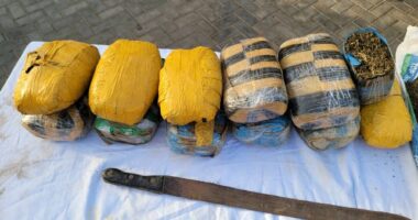 Kano police arrest most wanted notorious drug dealer,