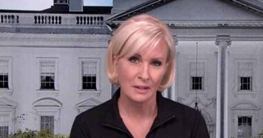 Karol Markowicz BURIES Morning Mika's Florida Gaslighting With a Single Photograph