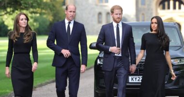 Kate Middleton news: Harry has ‘no choice’ but to see William on next visit; BBC defends cancer coverage