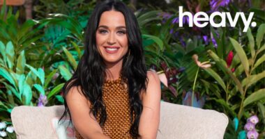 Katy Perry Hints She May Return to 'American Idol'