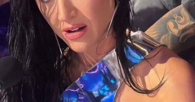 Katy Perry felt the full power of music on Monday night's episode of American Idol , joking that a performance had made her top break