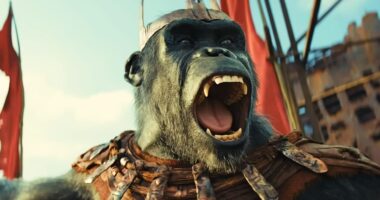 Kingdom Of The Planet Of The Apes On Track For Solid Opening
