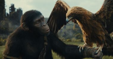 'Kingdom of the Planet of the Apes' Director Teases a "Raw Cut" on Blu-ray