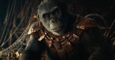 'Kingdom of the Planet of the Apes' Sneak Peek — Explore the Film's World