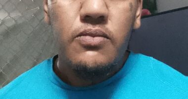 Trae Laurie was found on the front verandah of the house wearing a “face covering” with a stab wound to his chest