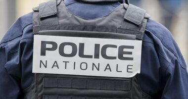 Knifeman gunned down by police in France after
