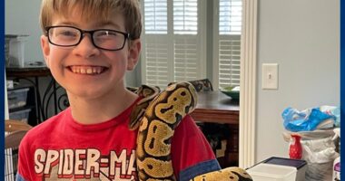 LIVE: Cops Provide Update in Ongoing Search for Sebastian Rogers