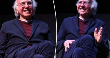 Larry David 'never analyzed' his show 'Curb Your Enthusiasm'