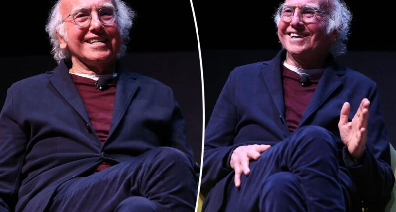 Larry David 'never analyzed' his show 'Curb Your Enthusiasm'