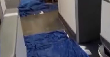 An Alaska Airlines flight from Hawaii to Alaska was diverted back to Honolulu due to a flooded bathroom, filling the aisles with water