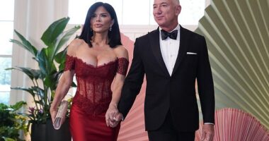Lauren Sanchez begged Donald Trump 's former advisor, Kellyanne Conway for help with her public image when they met at a party, according Wall Street Journal reporter Dana Mattioli