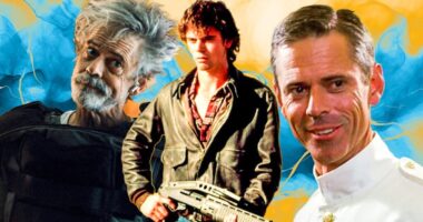 Life and Career of The Outsiders Star