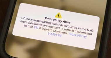 Literally Shaking: The Responses Coming From the Epicenter of the NYC Earthquake are Hilarious