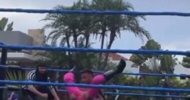 Paul had a front row seat to the wrestling match where he would find out his child's gender