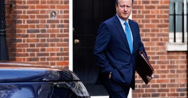 David Cameron was due to sit down with the current Republican frontrunner at his Mar-a-Lago resort