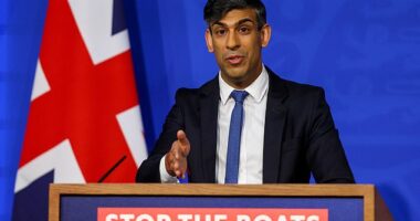 Senior Tory MPs have told Rishi Sunak that net migration should be capped at the 'tens of thousands'