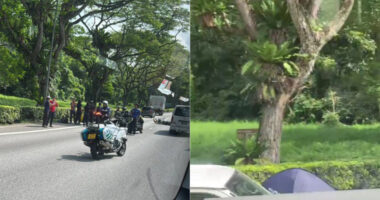 Male motorcyclist, 26, dies in morning PIE accident involving lorry - Mothership.SG