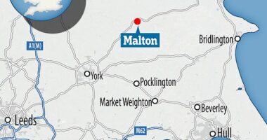Man, 47, is charged with murder after woman, 49, pulled from River Derwent in Malton dies in hospital - as friends pay tribute to the 'lovely mum'