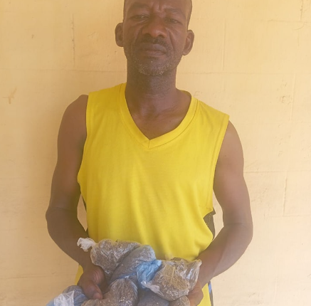 Man arrested over attempt to smuggle drugs into Kano prison