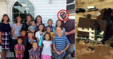 A Microsoft software engineer has been sentenced to seven years in prison for accessing a dark web hitman site and plotting to kill the parents of his adopted children. Christopher Pence (pictured circled in red), 42, of Cedar City, Utah, was sentenced in the Northern District of New York on Thursday. He pled guilty to soliciting and paying for the murder of a 35-year-old man and 38-year-old woman in December of last year. Neither killing took place.