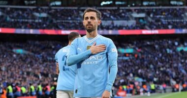 Bernardo Silva fired Man City into the FA Cup final with victory over Chelsea on Saturday