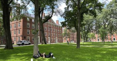 Mandatory DEI Statements Make Me Wince – HotAir