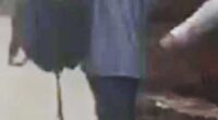 Pictured: Alleged murder suspect captured on a home video device