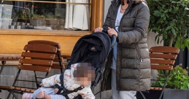 The Mail on Sunday has learned that former minister Ed Vaizey's names appear on the official document recording the birth of Saudi Arabian political analyst Najah Al-Otaibi's daughter (pictured)