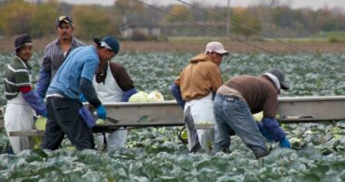 Media Peddles Ludicrous Claim That 'Border Crisis Might Be a Boon for the Economy.'