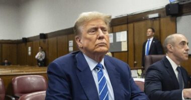 Meet 7 of Trump's Jurors: Nurse, Foreman, Lawyers, Teacher, Engineer, Consultant