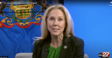 Meet The Lawmaker Leading The 'Most Important' Election Lawsuit