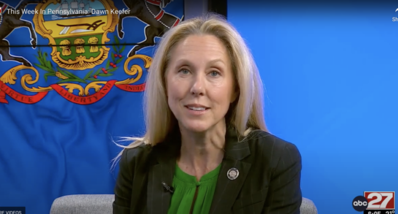 Meet The Lawmaker Leading The 'Most Important' Election Lawsuit