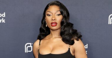 Megan Thee Stallion Accused Of Harassment By Ex-Photographer