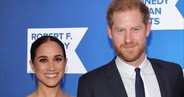 Meghan and Harry launching two new series at Netflix featuring cooking, gardening and polo
