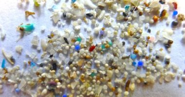 Microplastics Cancer