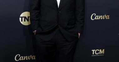 Mike Myers looked worlds away from his Austin Powers character as he attended the 49th AFI Life Achievement Award Gala Tribute in Hollywood on Saturday