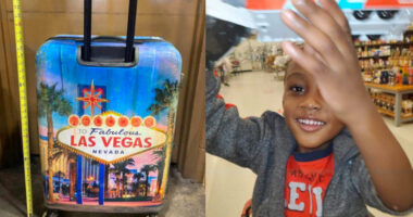 Mom Accused of Killing Son, Dumping Body in Suitcase Fires Public Defender, Asks for Charges to Be Dismissed