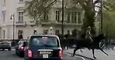 New footage of the runaway Household Cavalry horses shows them crash through parked electric bikes