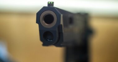 Mother Sentenced to Life for Botched Revenge Against Man Who Allegedly Molested Her Daughter – RedState