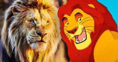 Mufasa's Backstory Update Could Cause Massive Changes To Disney's Lion King Lore