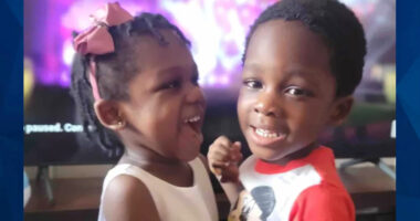 Mystery Still Surrounds Deaths of 5-Year-Old Twins Smothered by Mom